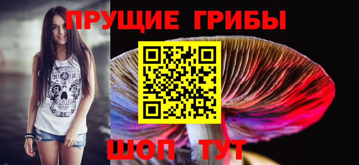 Псилоцибиновые грибы Psilocybine cubensis Геленджик